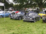Darling Buds of May July 8th 2012 - The visiting French Classic Car Club (Photo by: Geoff)